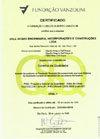 Visualizar o Certificado... clique!